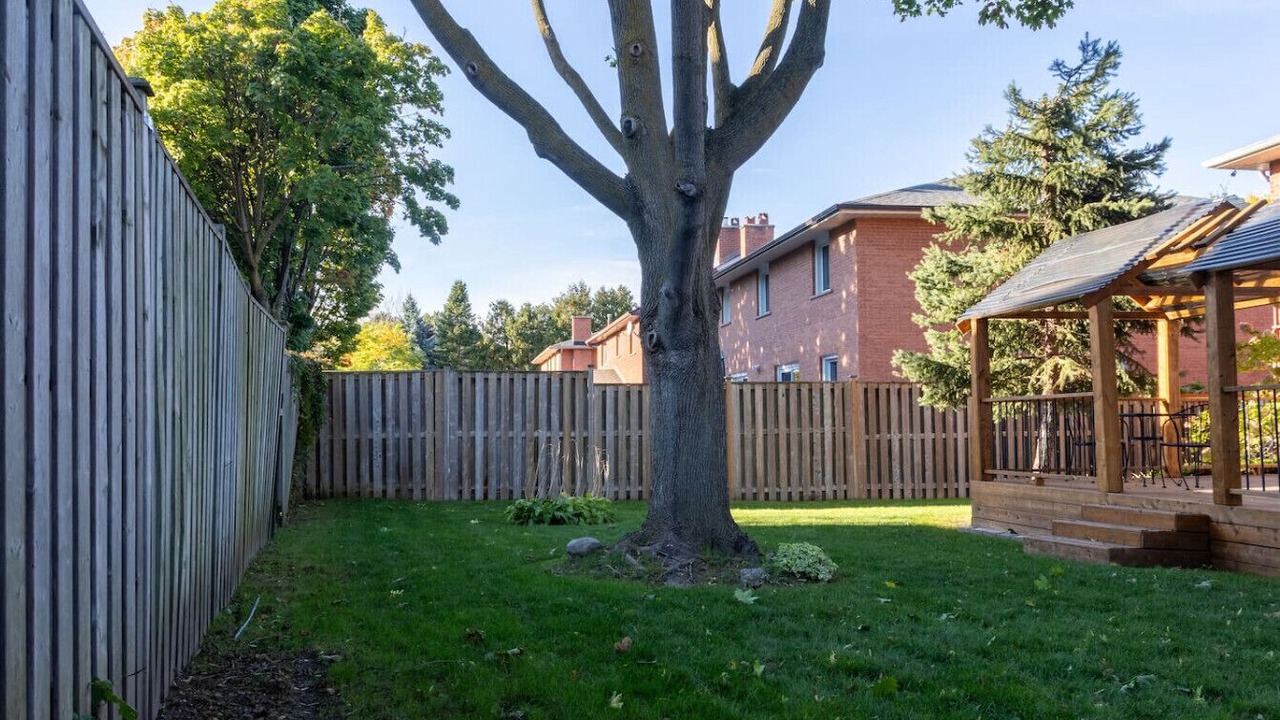 Photo of Outdoor in Mississauga