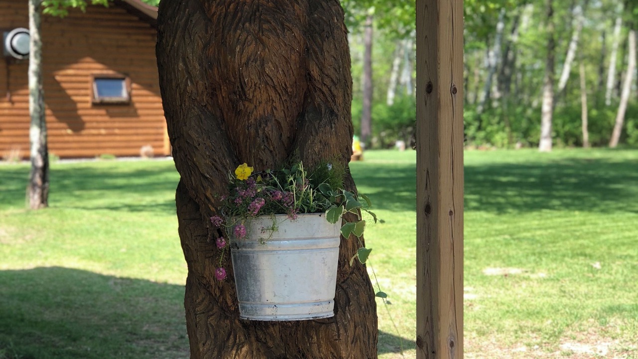 Photo of Outdoor in Remer