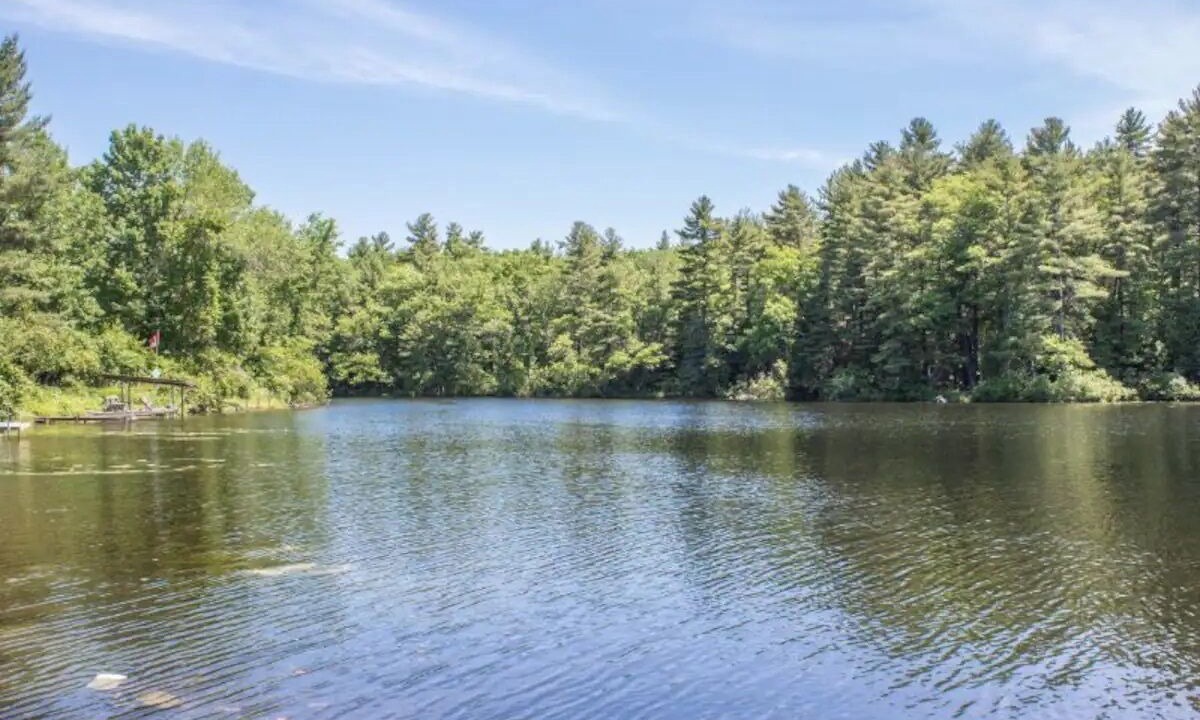Photo of Others in Havelock-Belmont-Methuen