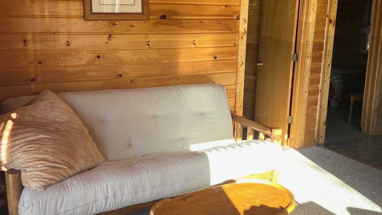 Photo of Livingroom in Ray