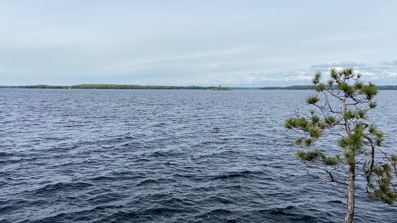 Photo of Others in Gravenhurst