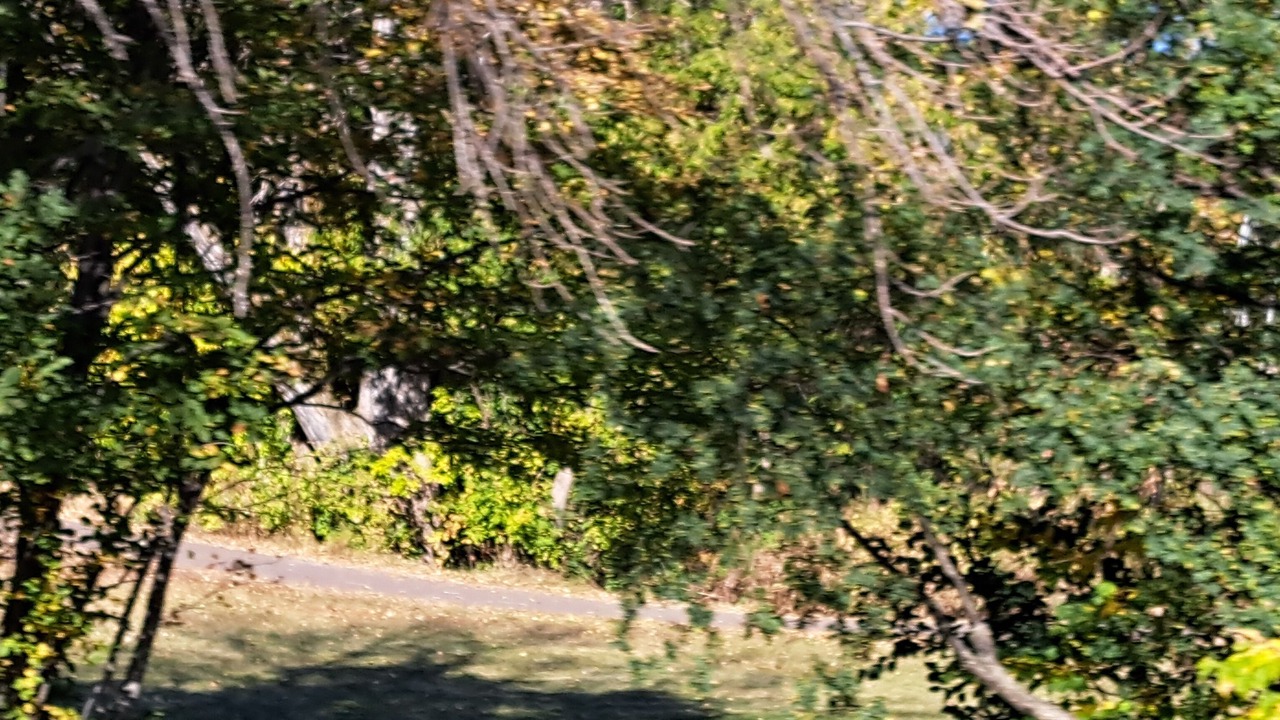 Photo of Others in Duluth
