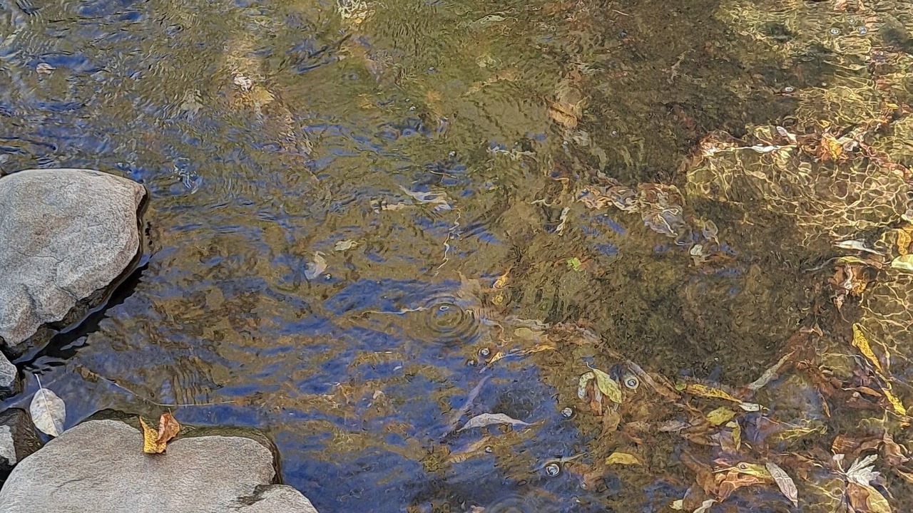 Photo of Others in Duluth