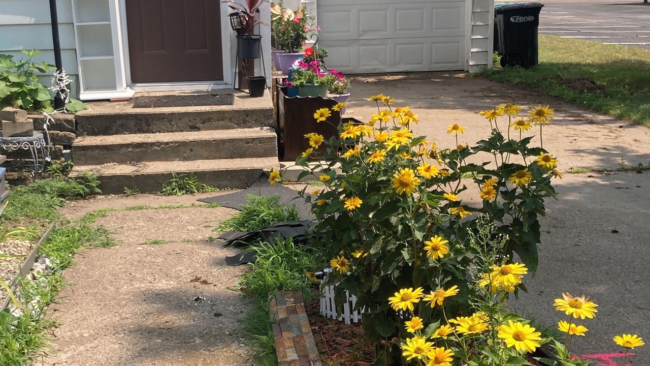 Photo of Outdoor in Little Falls