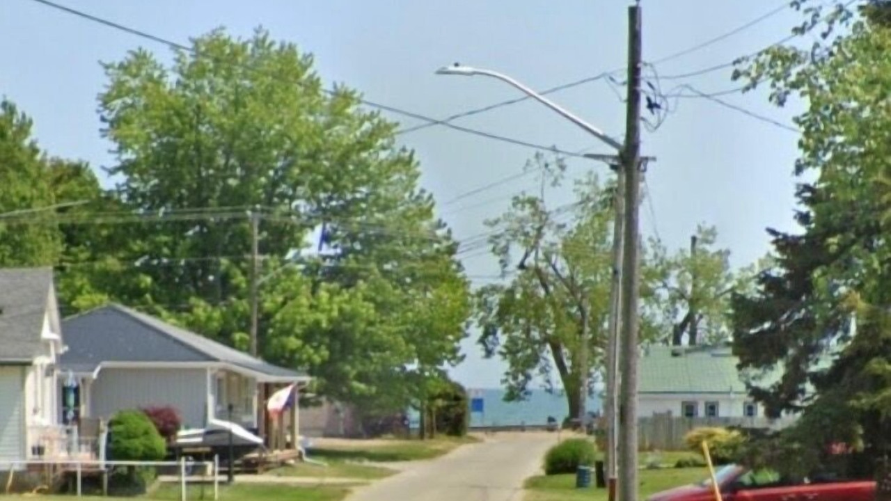 Photo of Others in Turkey Point
