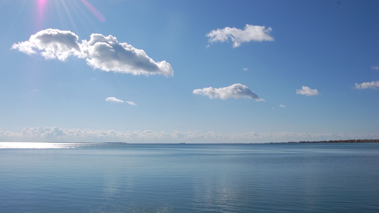 Photo of Others in Turkey Point