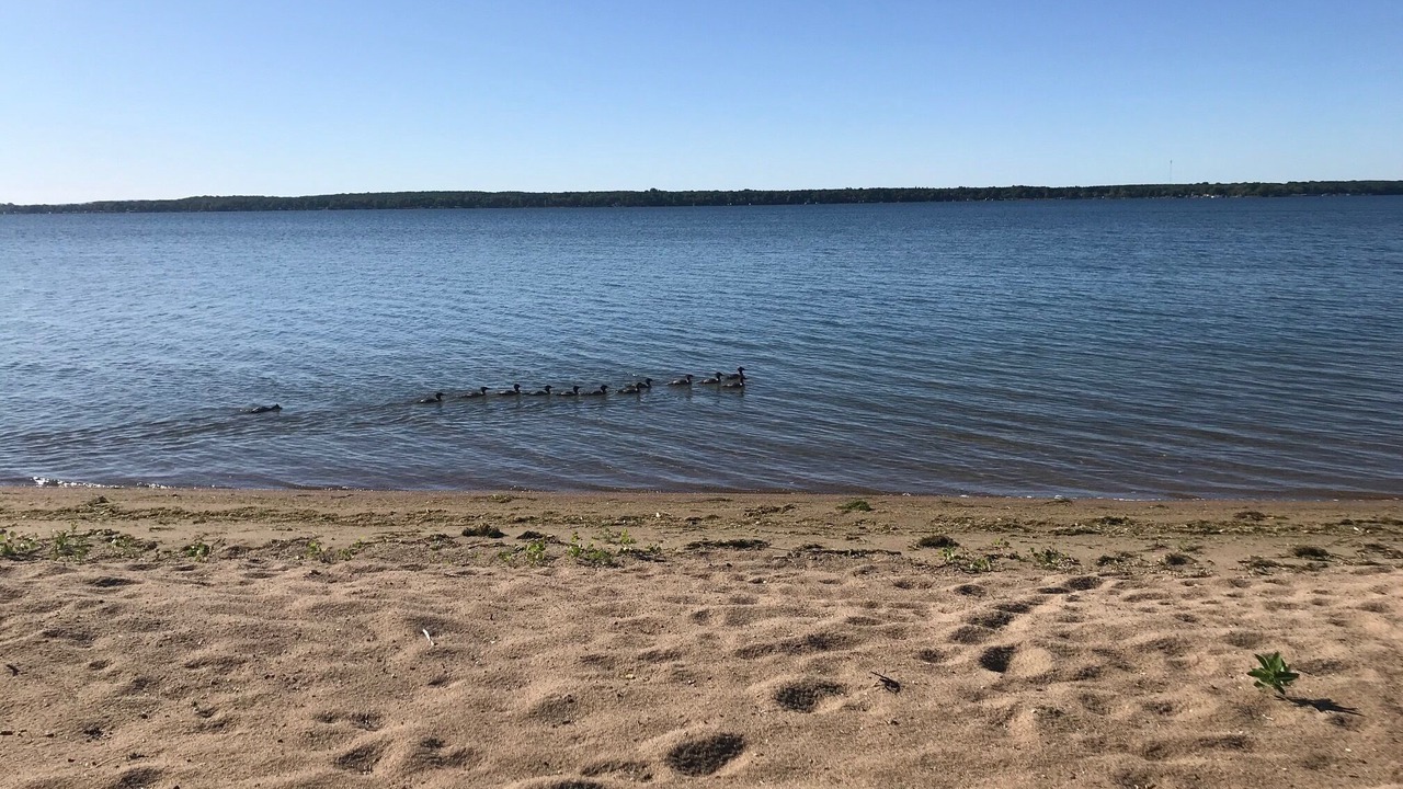 Photo of Others in Battle Lake