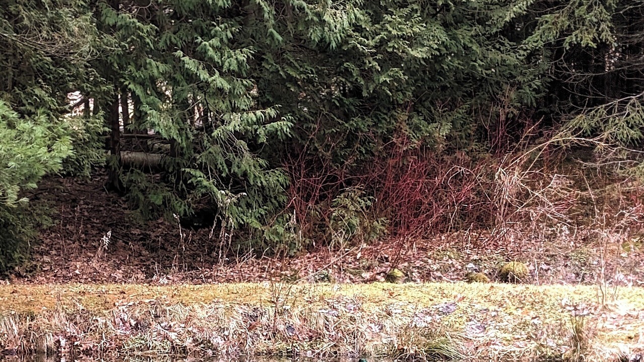 Photo of Others in Clarington