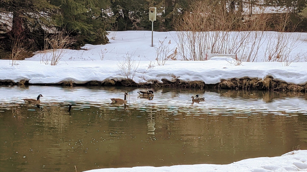 Photo of Others in Clarington
