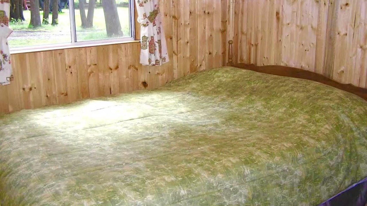 Photo of Bedroom in Lakefield