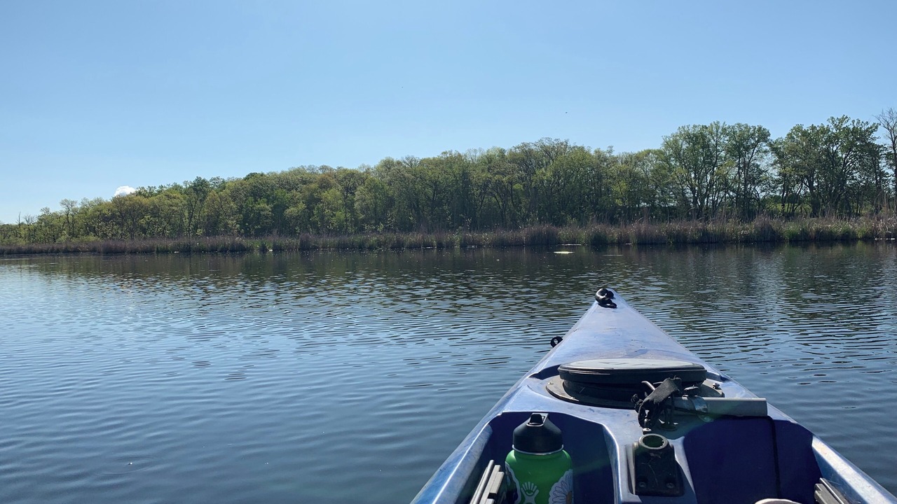 Photo of Others in South Haven