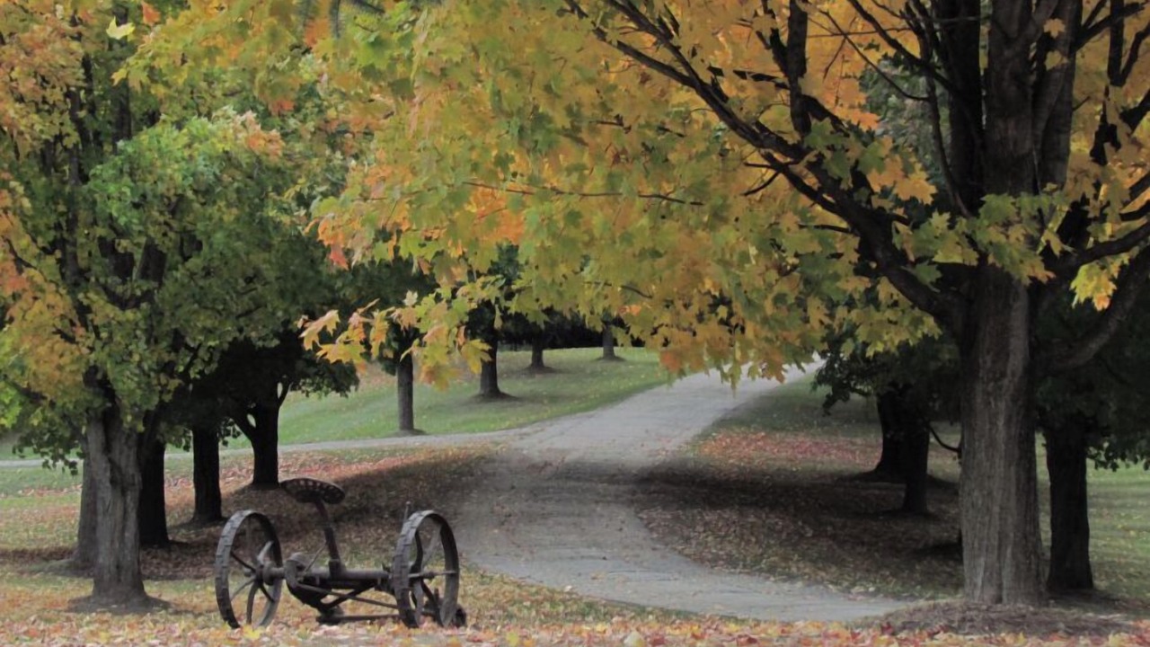 Photo of Others in Caledon