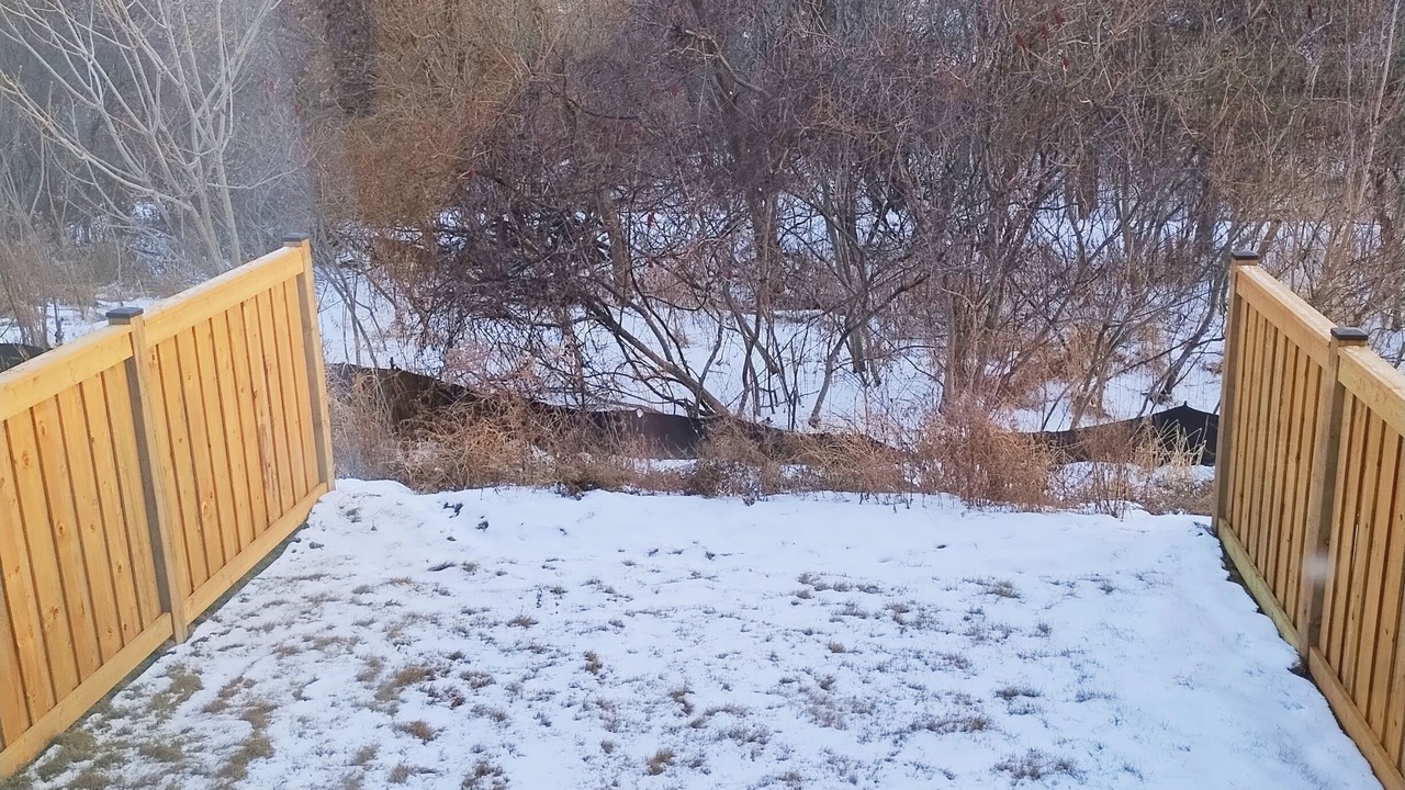 Photo of Outdoor in Courtice