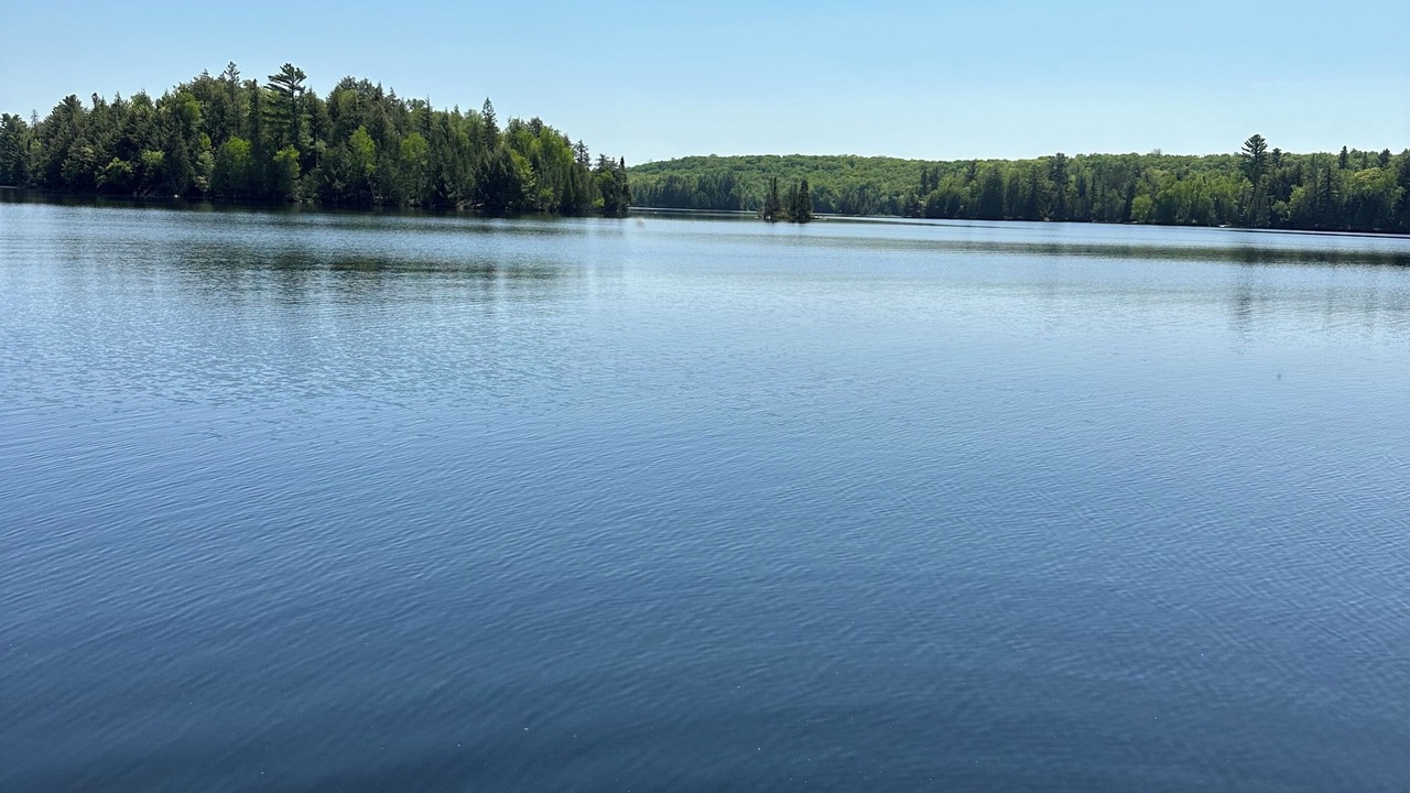 Photo of Others in Magnetawan
