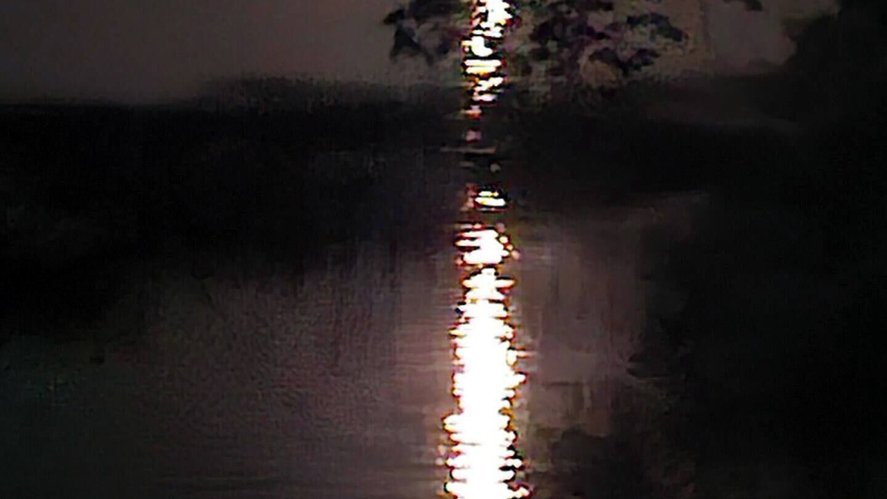 Photo of Others in Battle Lake