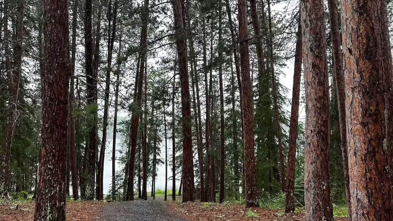 Photo of Others in Northern Ontario