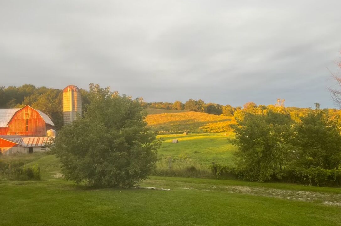 Photo of Outdoor in Madoc