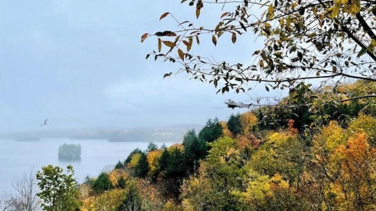 Photo of Others in Gravenhurst