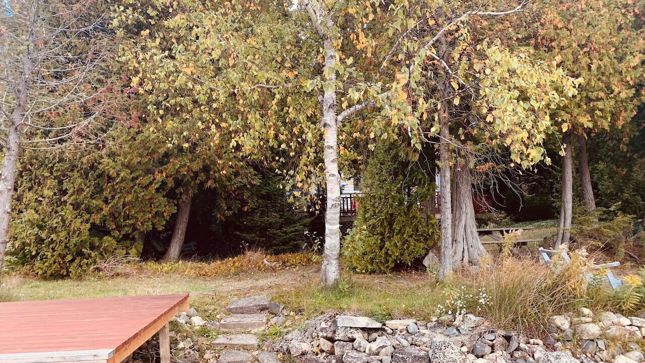 Photo of Others in Tobermory