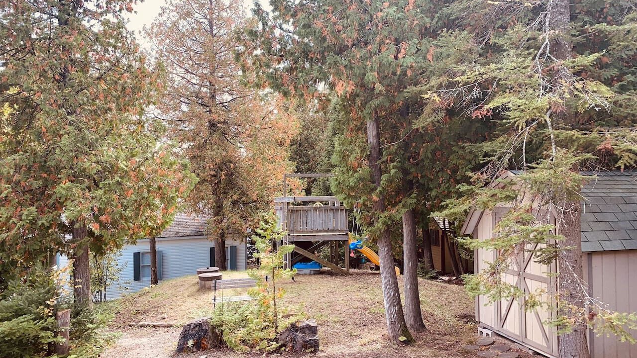 Photo of Others in Tobermory