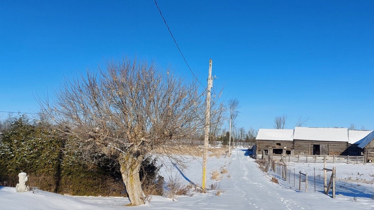 Photo of Outdoor in Bonnechere Valley