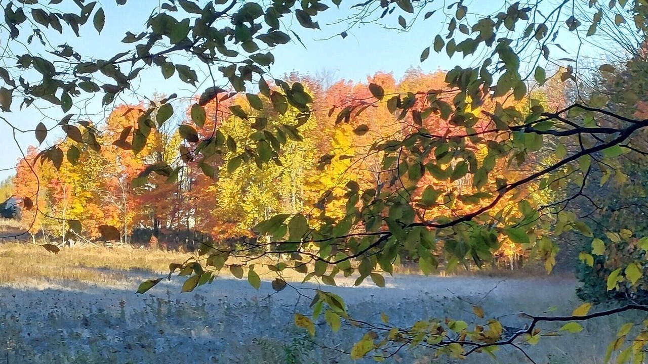 Photo of Others in Bonnechere Valley