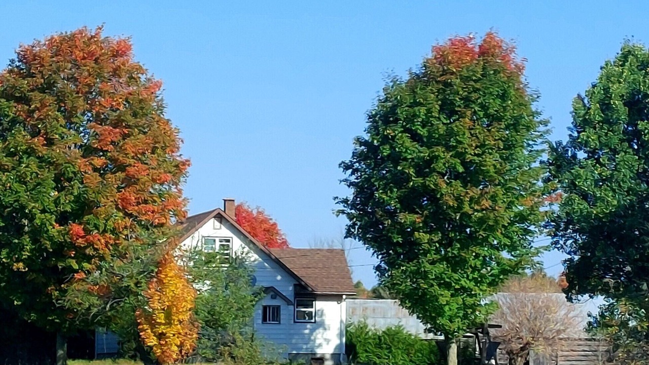 Photo of Outdoor in Bonnechere Valley