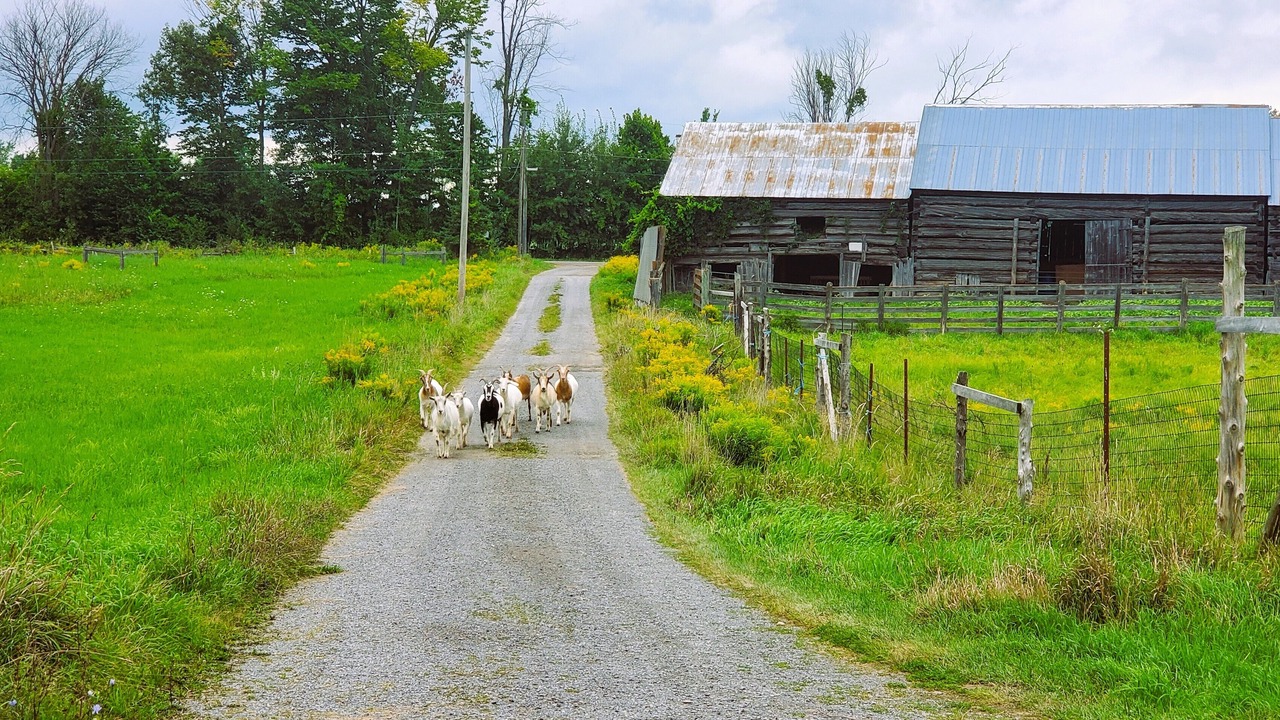 Photo of Others in Bonnechere Valley