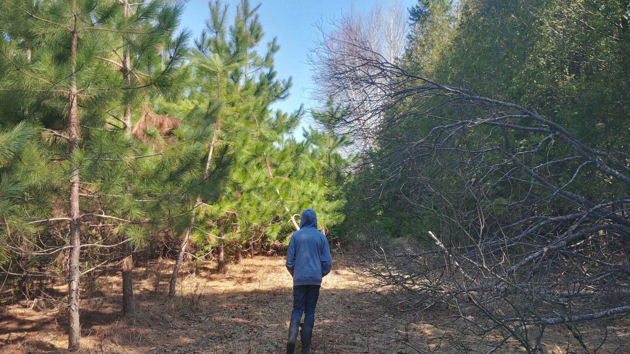Photo of Others in Bonnechere Valley