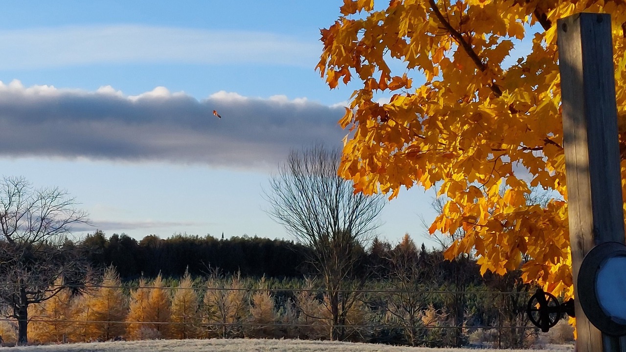 Photo of Others in Bonnechere Valley
