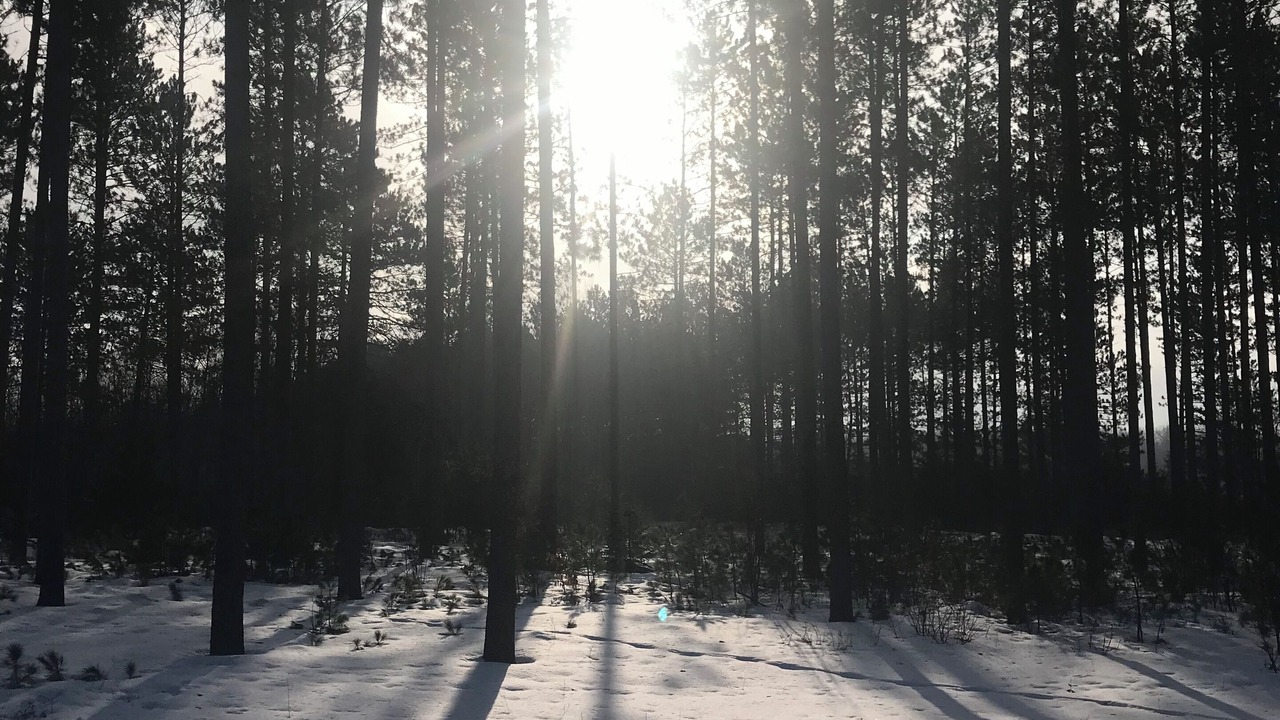 Photo of Others in Pine County