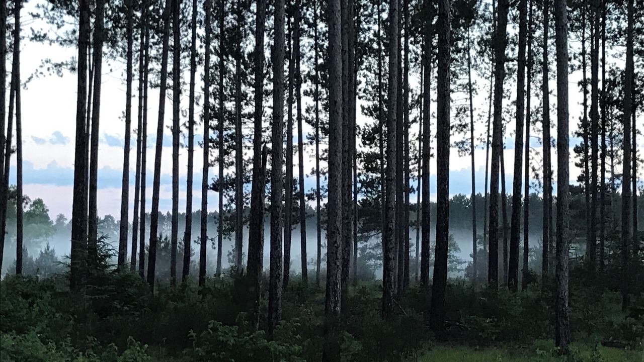 Photo of Others in Pine County