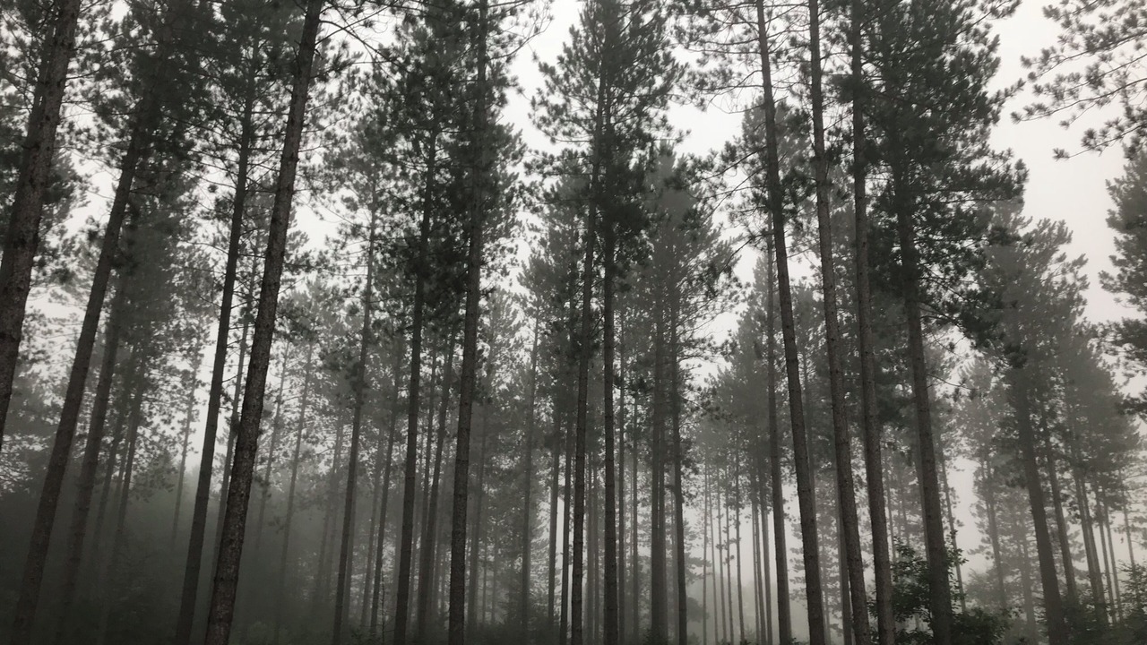 Photo of Others in Pine County