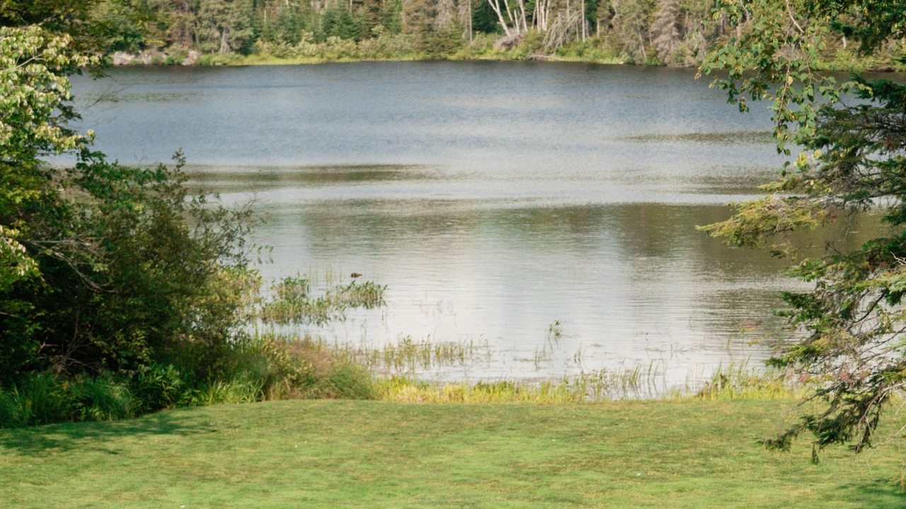 Photo of Outdoor in West Arm