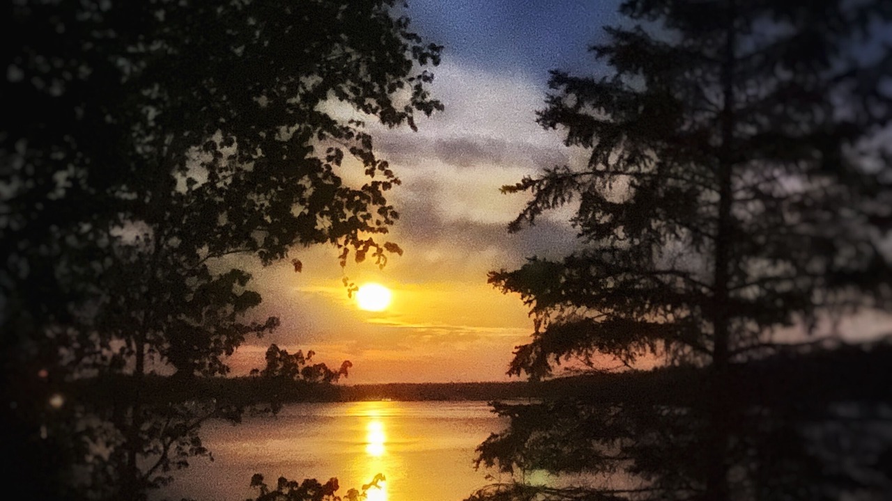 Photo of Others in West Arm