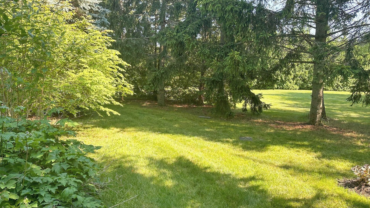 Photo of Outdoor in Zurich