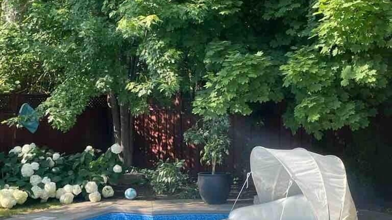 Photo of Outdoor in Mineola