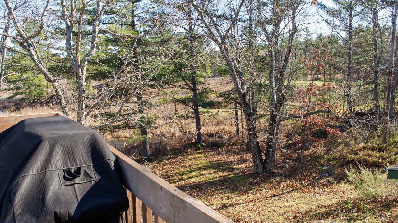 Photo of Outdoor in Trent Lakes