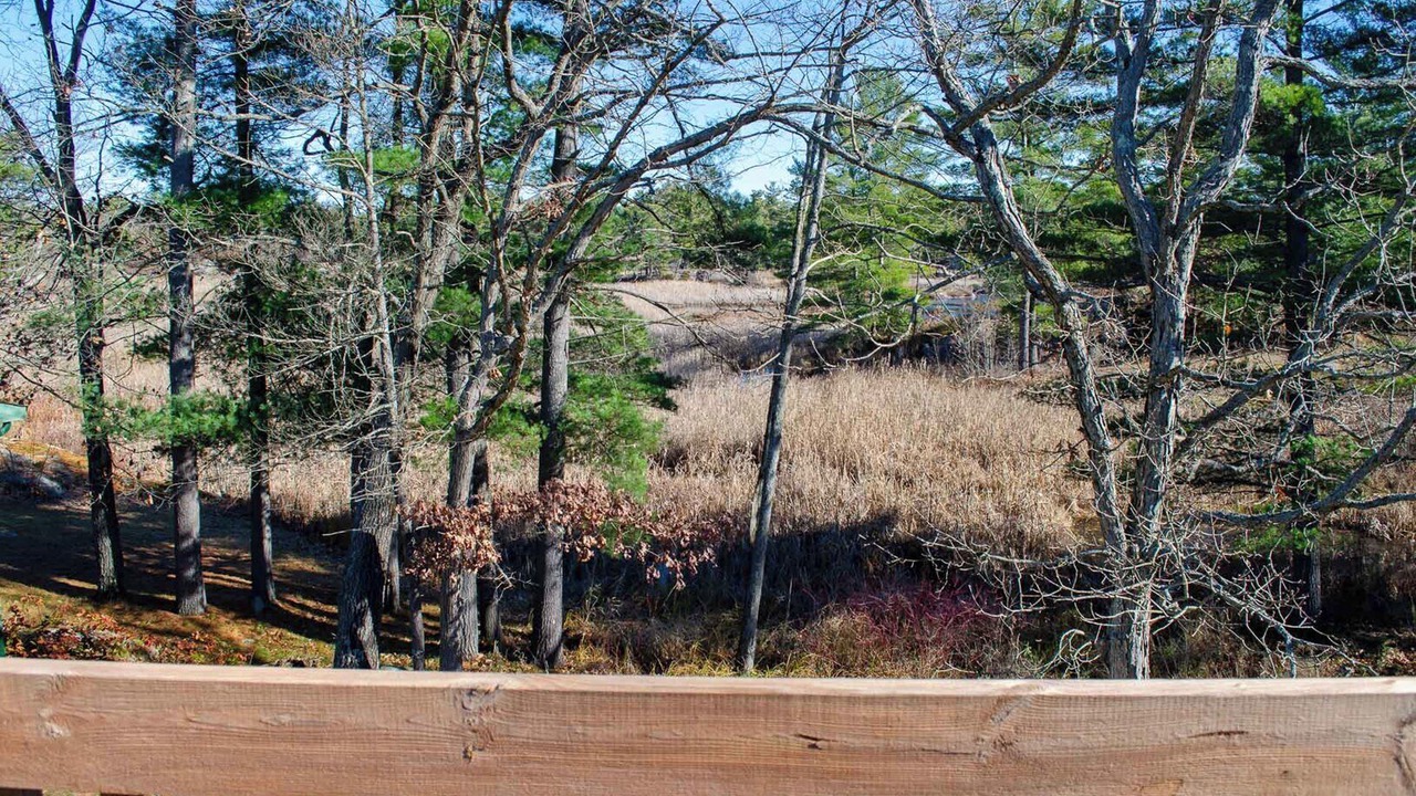 Photo of Outdoor in Trent Lakes