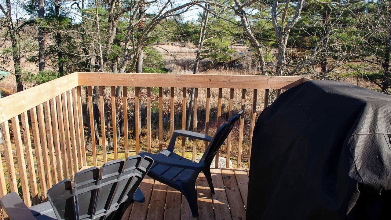 Photo of Outdoor in Trent Lakes