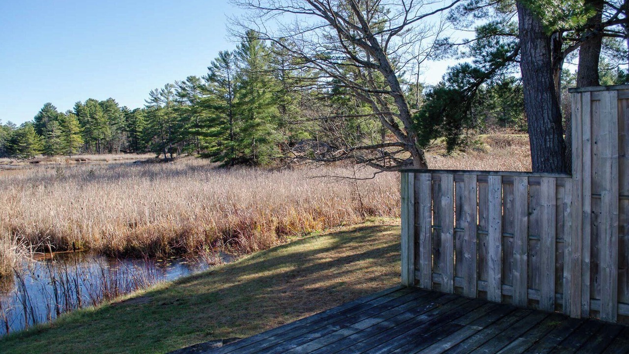 Photo of Others in Trent Lakes