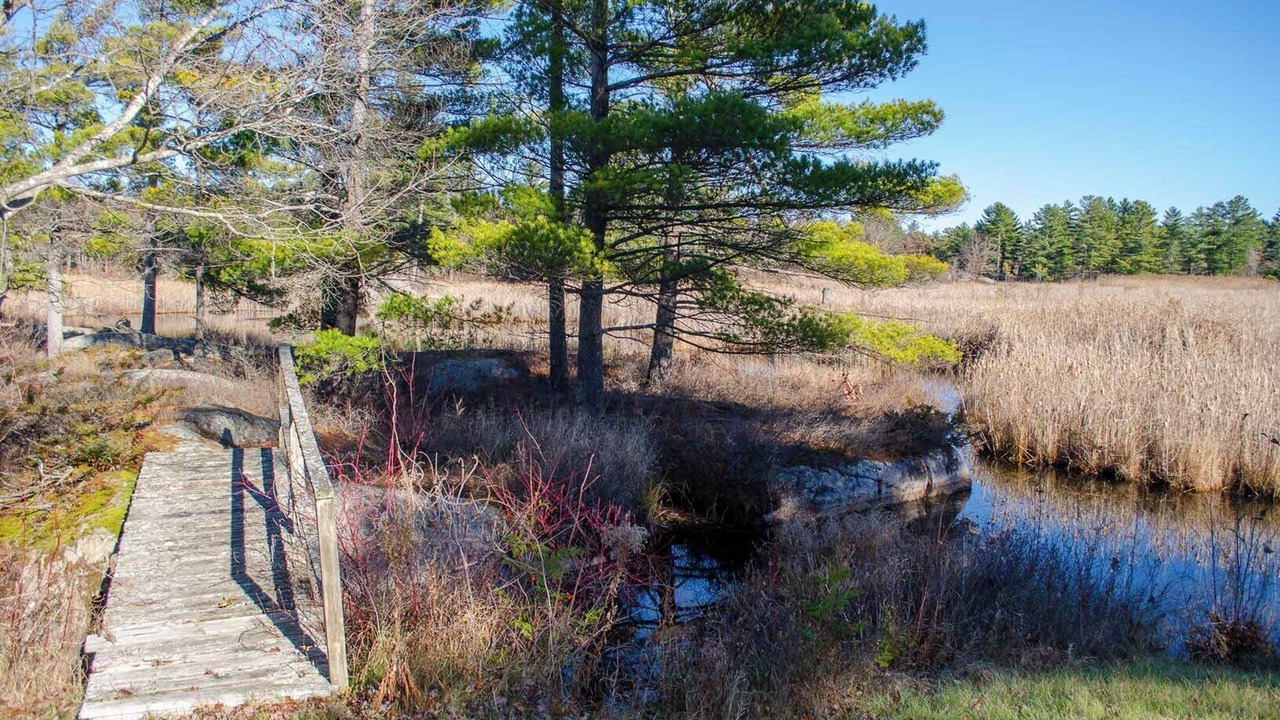 Photo of Others in Trent Lakes