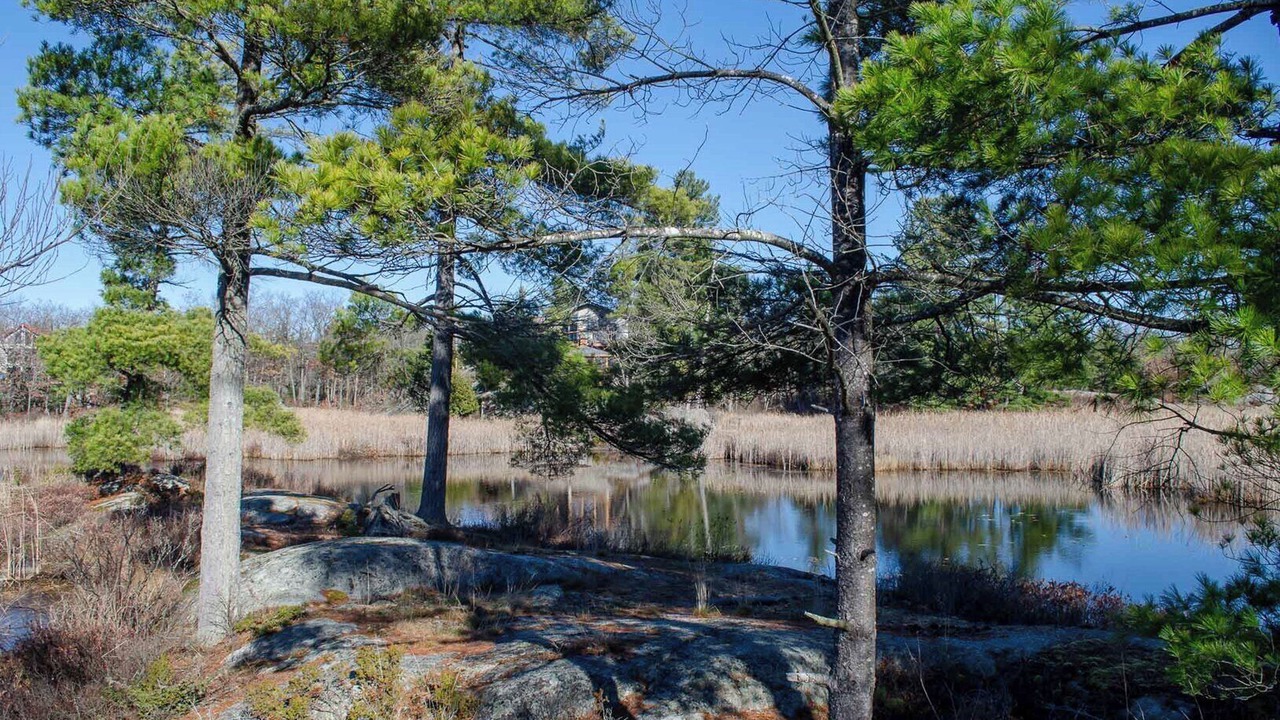 Photo of Others in Trent Lakes