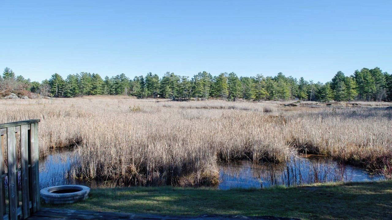 Photo of Others in Trent Lakes