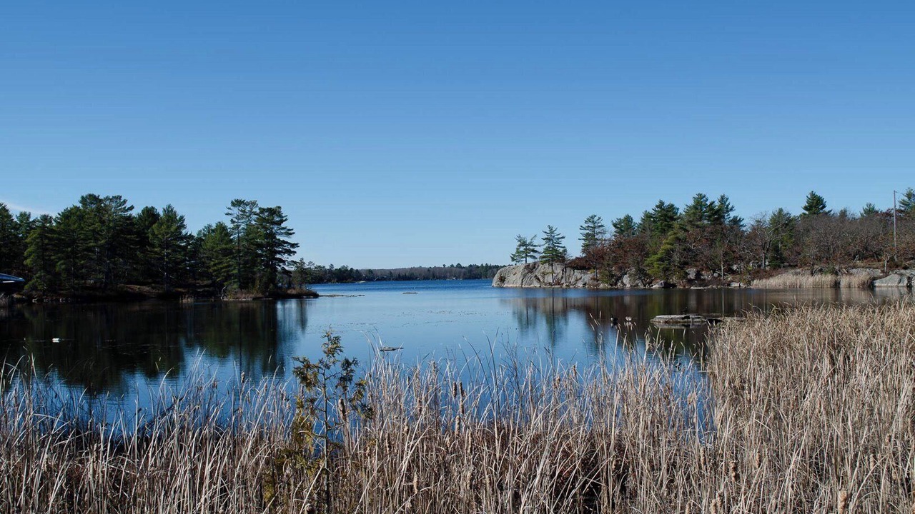 Photo of Others in Trent Lakes