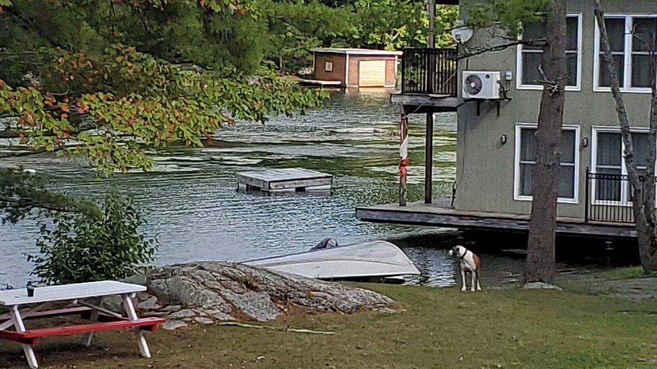 Photo of Outdoor in Trent Lakes