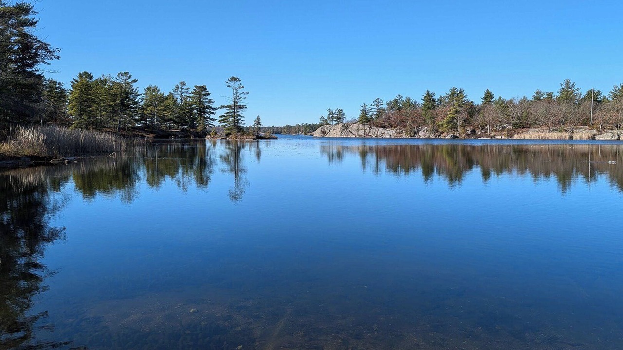 Photo of Others in Trent Lakes