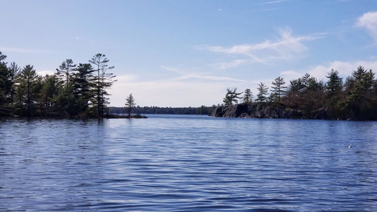 Photo of Others in Trent Lakes