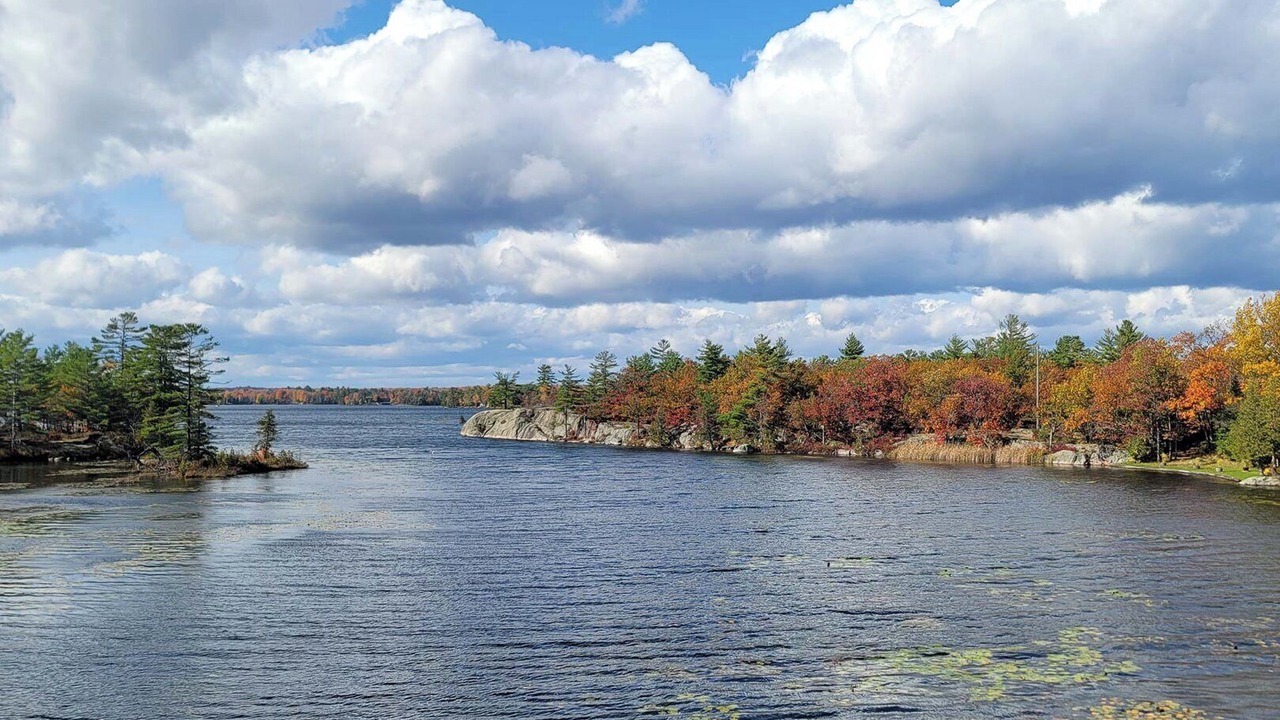 Photo of Others in Trent Lakes