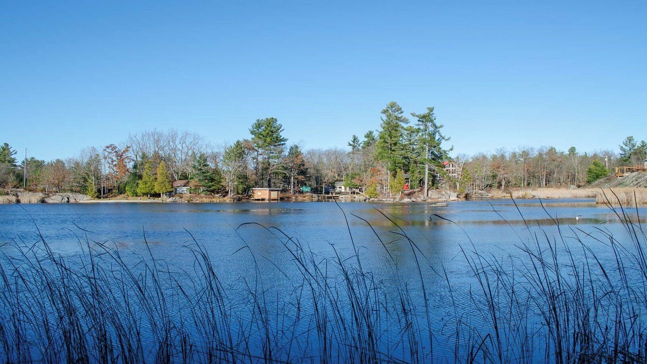 Photo of Others in Trent Lakes